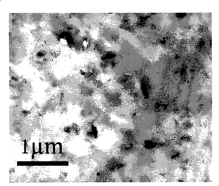 Polychloroethylene / layered double hydroxide nano composite material and preparation thereof