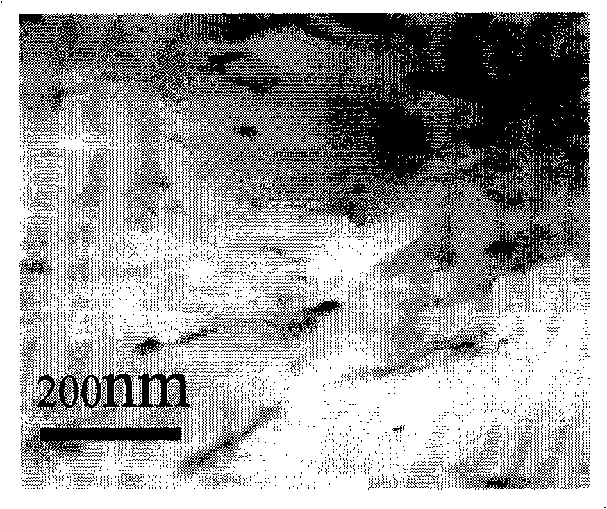 Polychloroethylene / layered double hydroxide nano composite material and preparation thereof