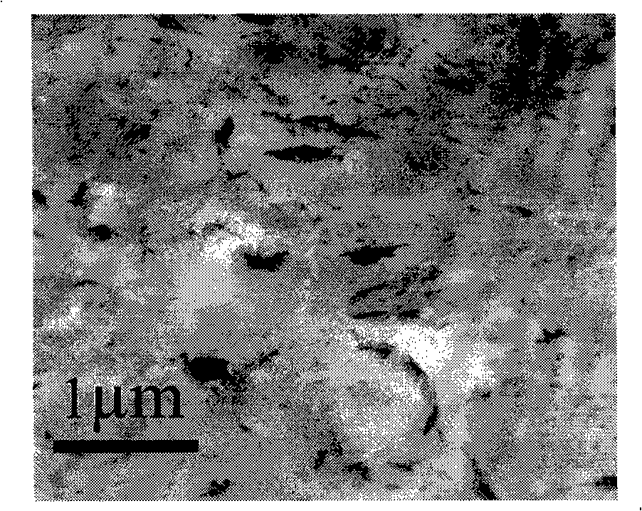 Polychloroethylene / layered double hydroxide nano composite material and preparation thereof