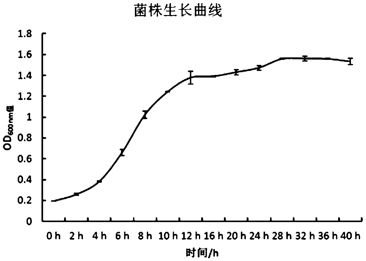 Lactobacillus paracasei subsp. paracasei and application thereof