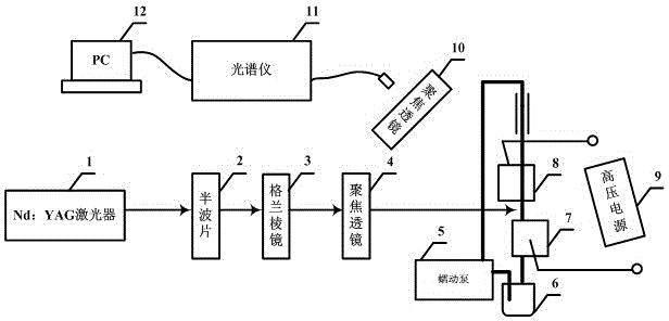 Electrostatic assistance enhanced LIBS (laser induced breakdown spectroscopy) device for detecting heavy metal elements in sewage