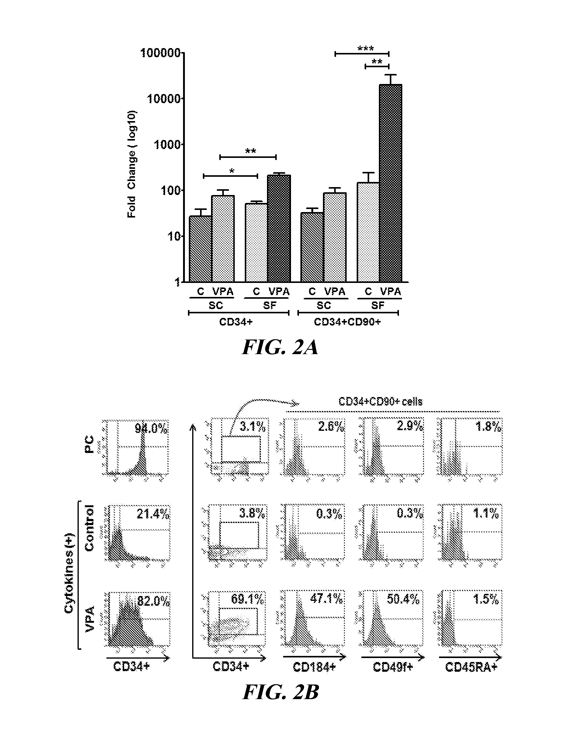 Enriched and expanded human cord blood stem cells for treatment of hematological disorders