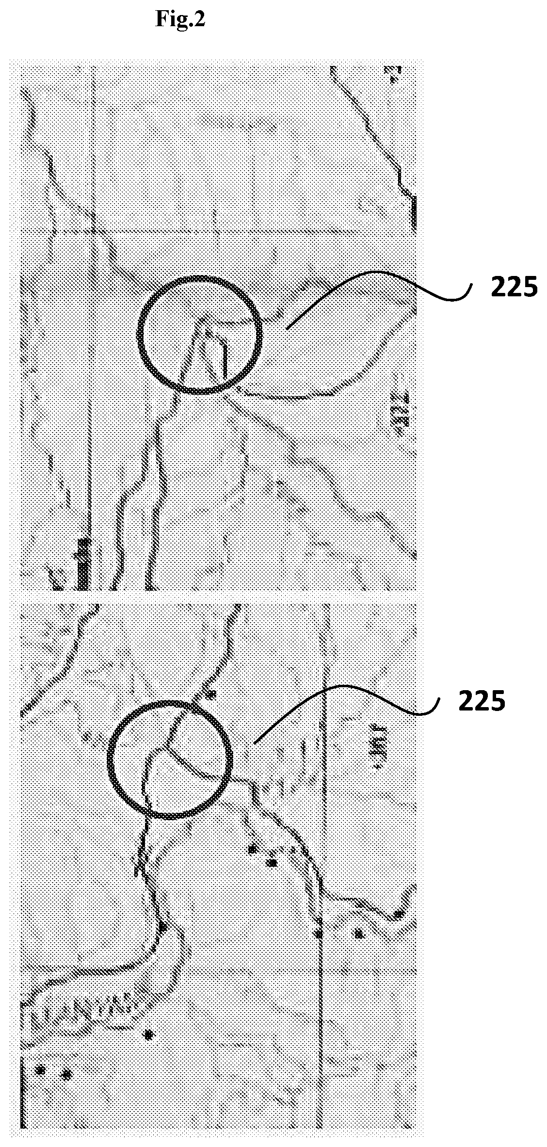 System and method for identifying and assessing topographical features using satellite data