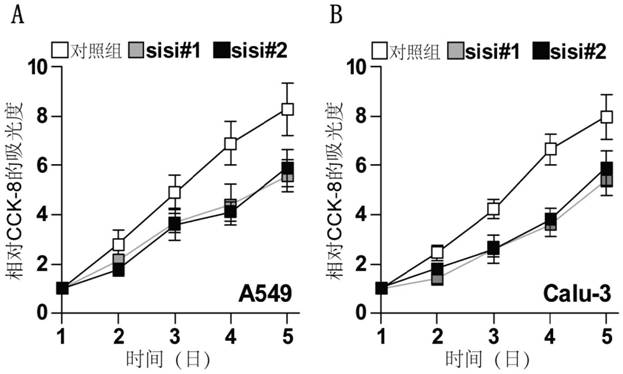 Application of plpp4 as a target for diagnosis, treatment and prognosis of non-small cell lung cancer