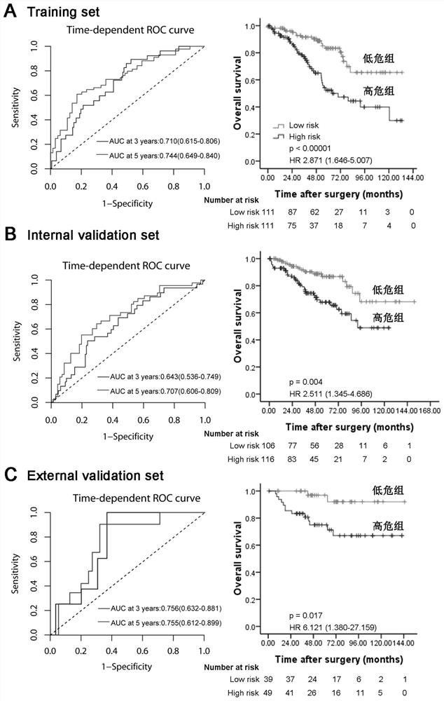 Application of lncRNA combination in the preparation of products for predicting the prognosis of renal clear cell carcinoma and the sensitivity of molecular targeted drug therapy