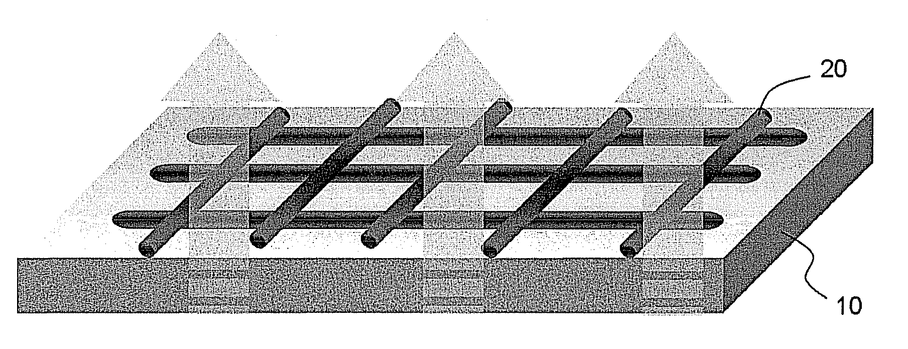 Method of preparing patterned carbon nanotube array and patterned carbon nanotube array prepared thereby