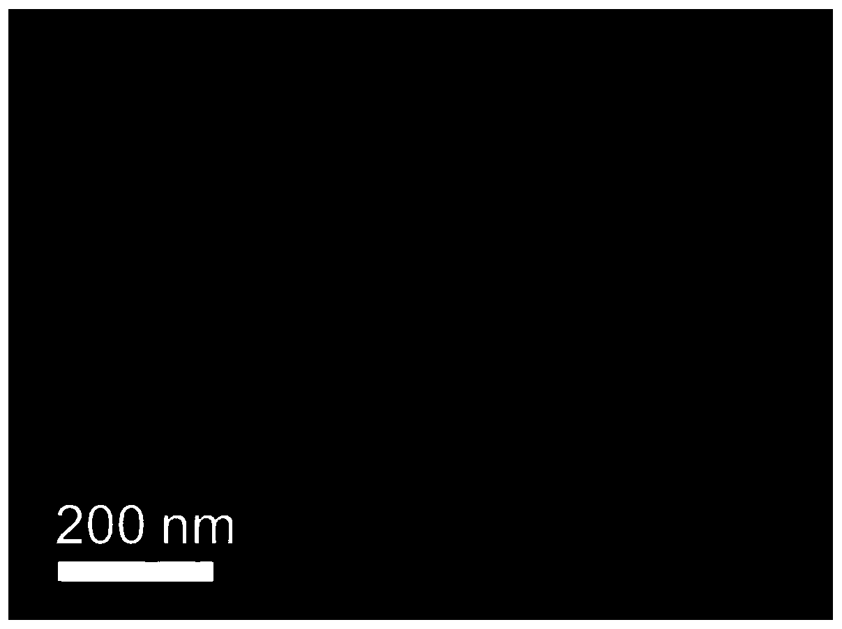 Tin/protein nano hybrid membrane and applications thereof