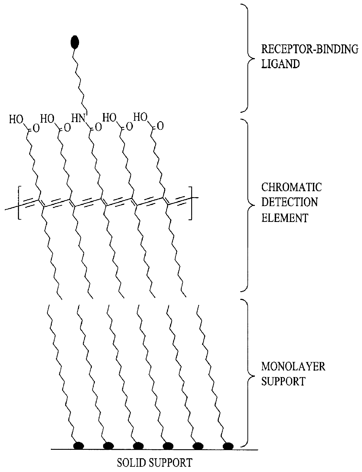 Doped colorimetric assay liposomes