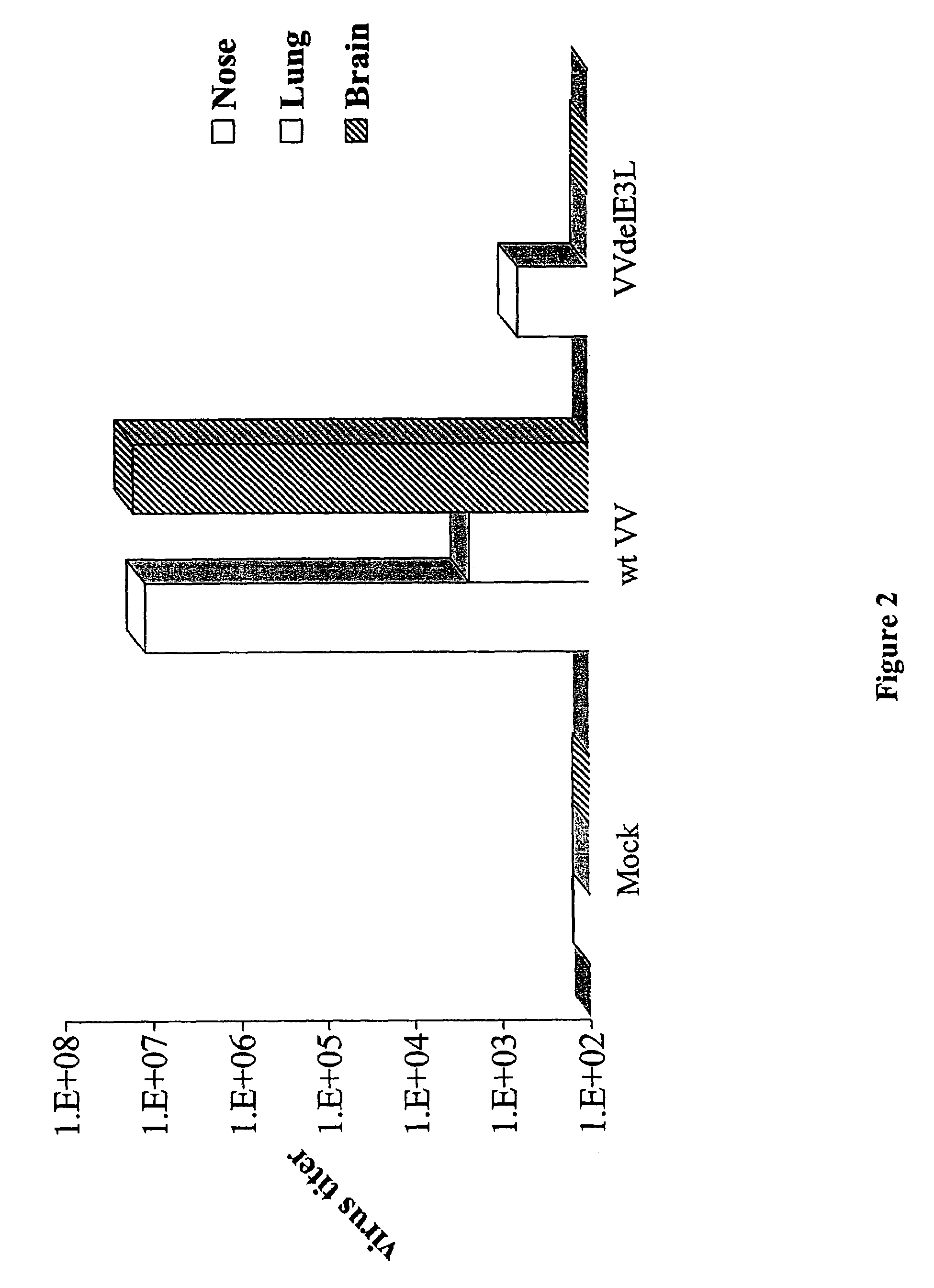 Use of vaccinia virus deleted for the E3L gene as a vaccine vector