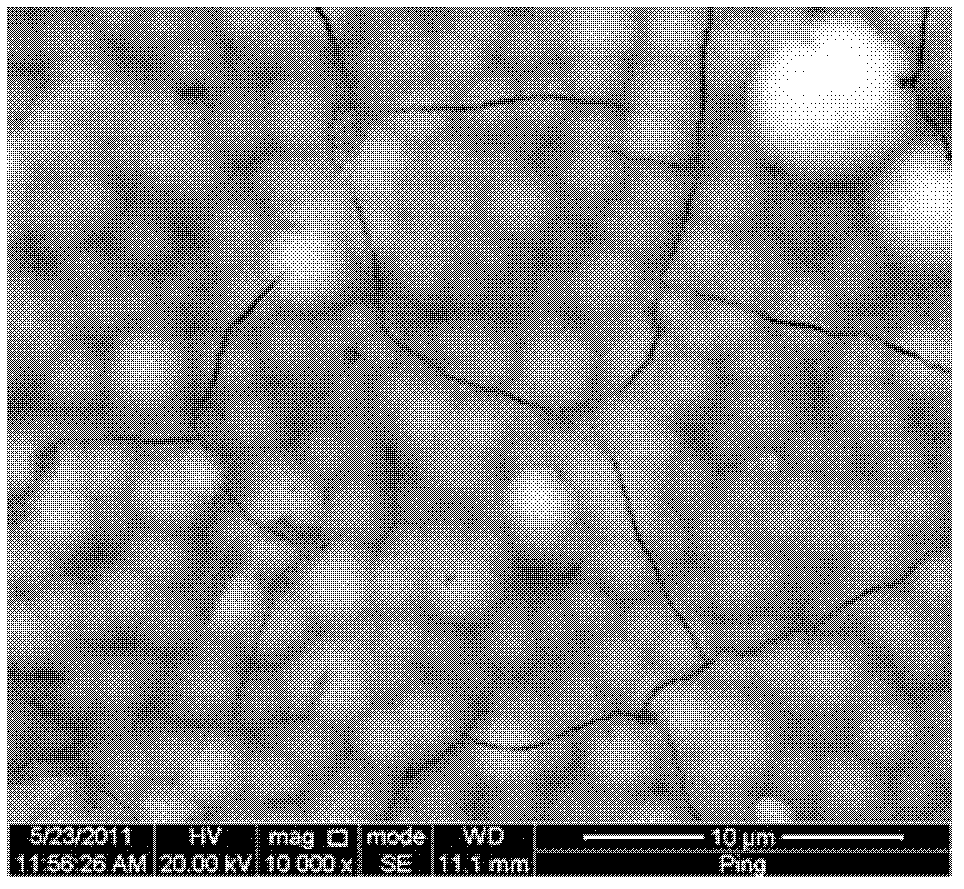 Method for preparing biologically active titanium dioxide film on NiTi alloy surface