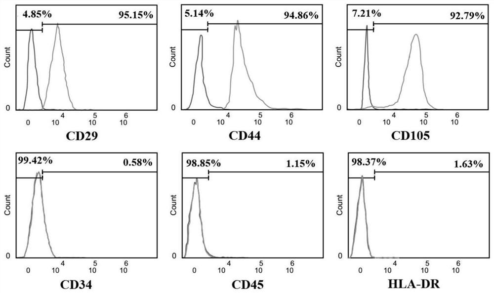 Application of glycoside dipeptide conditioned medium in cryopreservation of mesenchymal stem cells and preparation of commercial cryopreservation agents