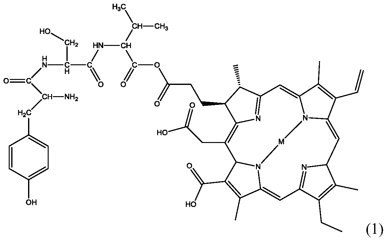 Selenium-rich oyster micromolecule protein peptide solid beverage and preparation method thereof