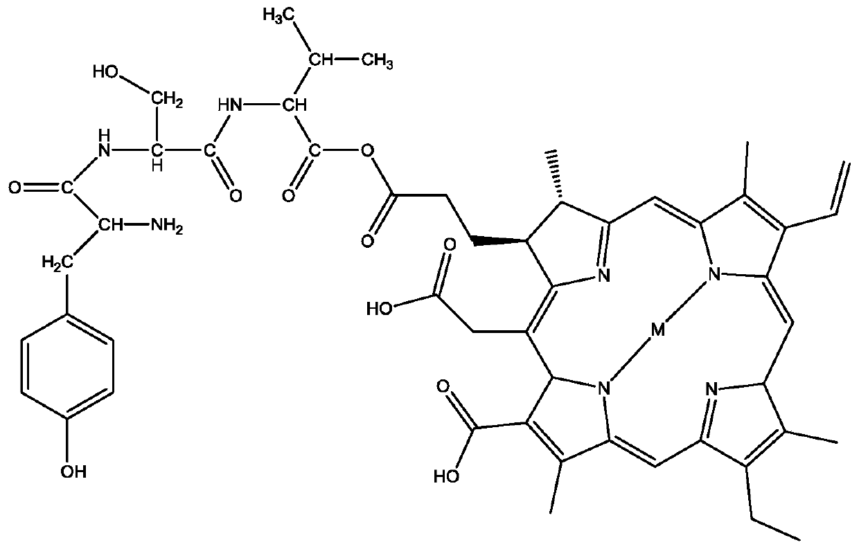 Selenium-rich oyster micromolecule protein peptide solid beverage and preparation method thereof