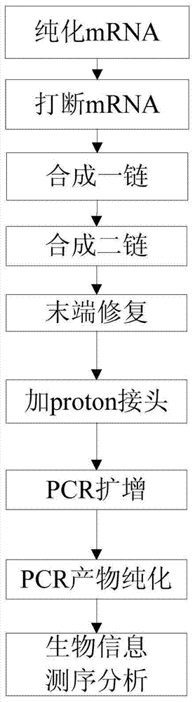 Gene expression quantitative method and device