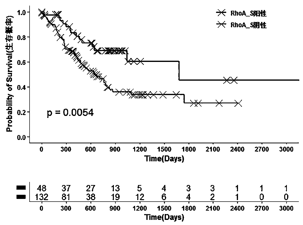 Evaluation gene group and corresponding kit for prognosis prediction of gastric cancer