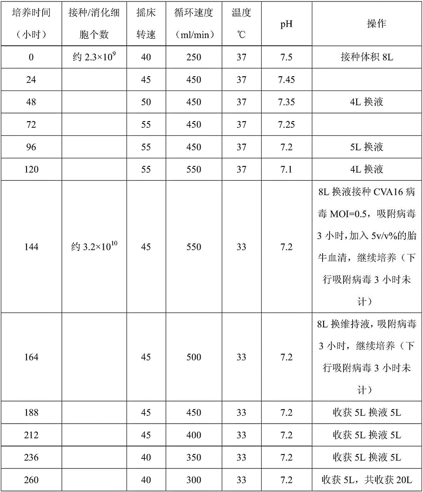 Optimized technical method for proliferation of Coxsackie virus A16