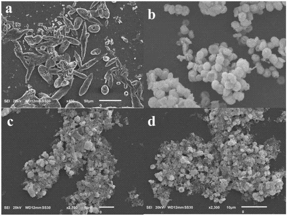 Preparation method and use of peach blossom biomass carbon-modified Bi2WO6 composite photocatalyst