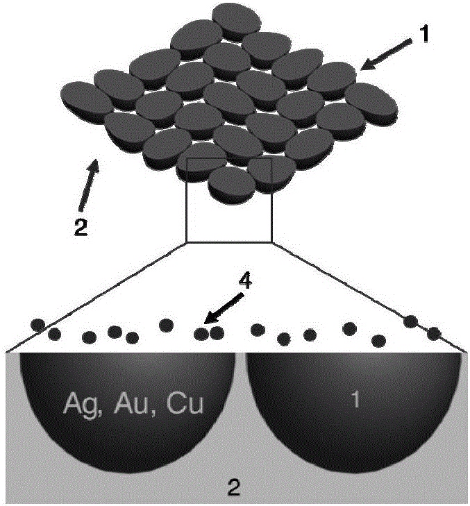 A flexible surface-enhanced Raman spectroscopy substrate and its preparation method