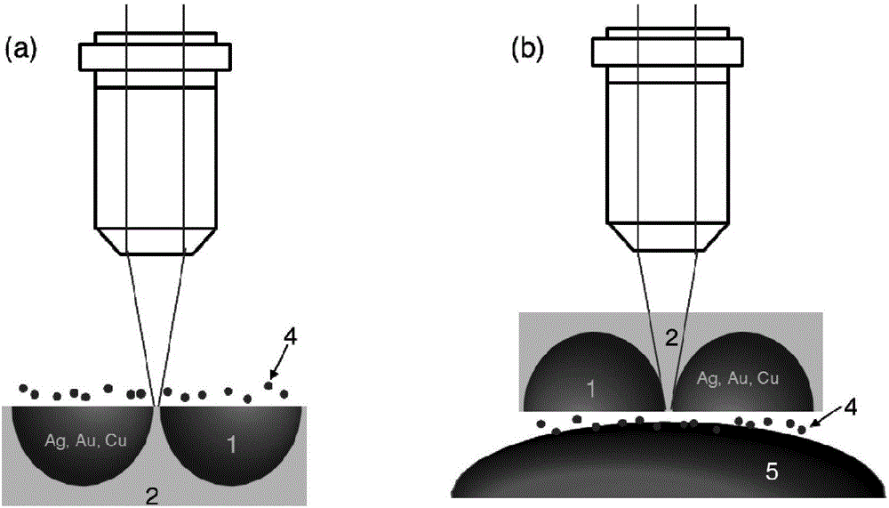 A flexible surface-enhanced Raman spectroscopy substrate and its preparation method