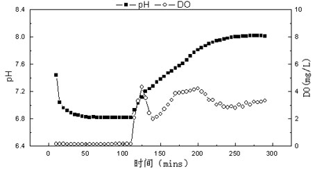 Method for quickly enriching phosphorus accumulating organisms (PAOs) in activated sludge