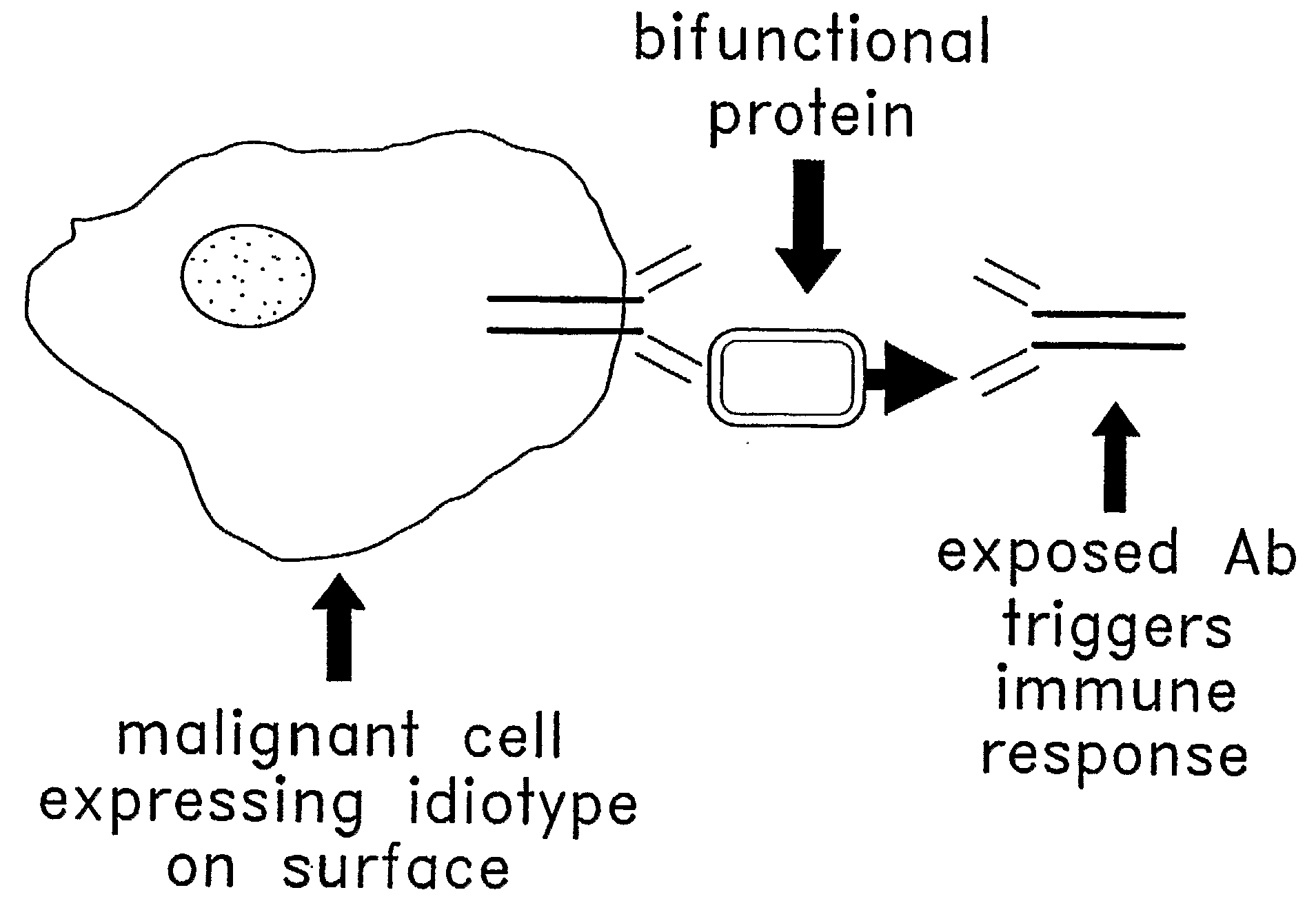 Method for Making Targeted Therapeutic Agents