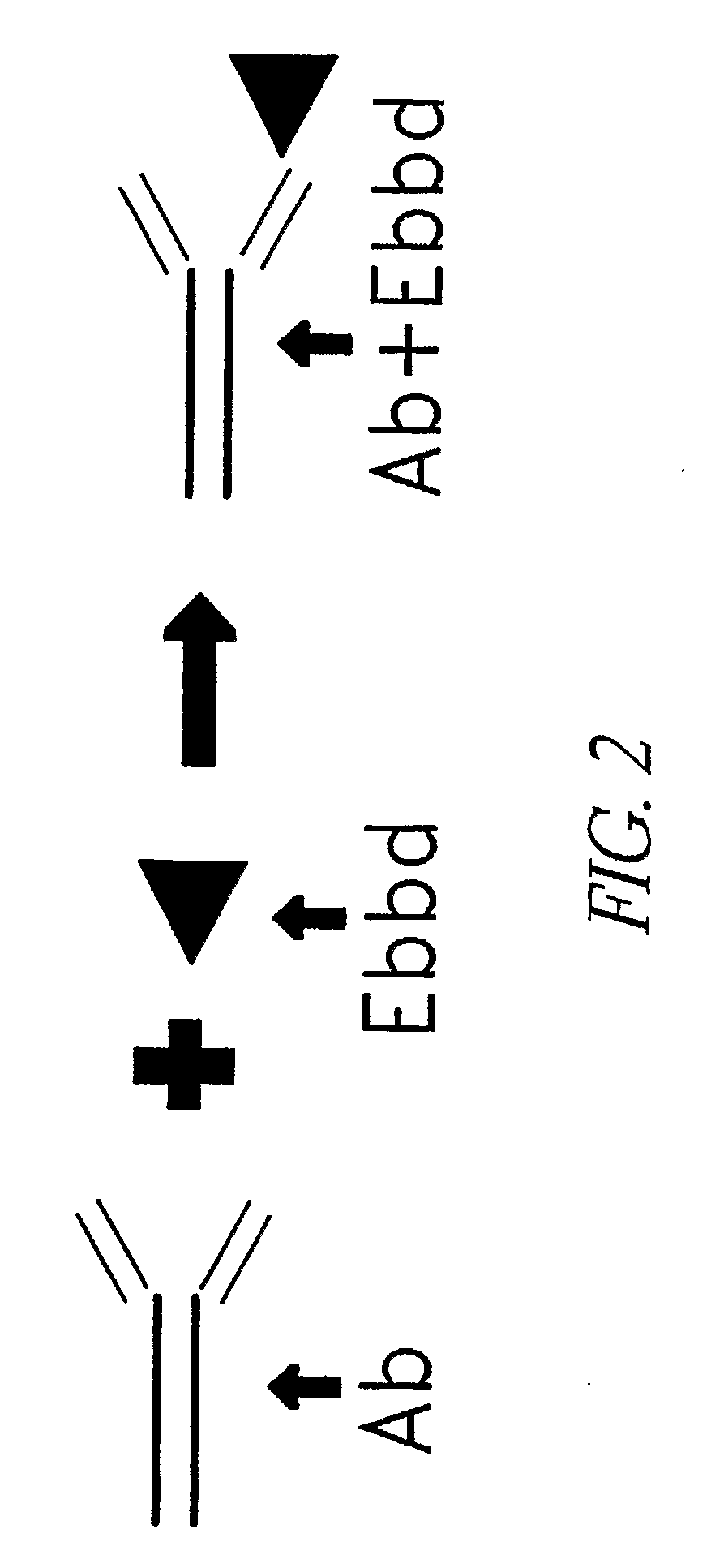 Method for Making Targeted Therapeutic Agents