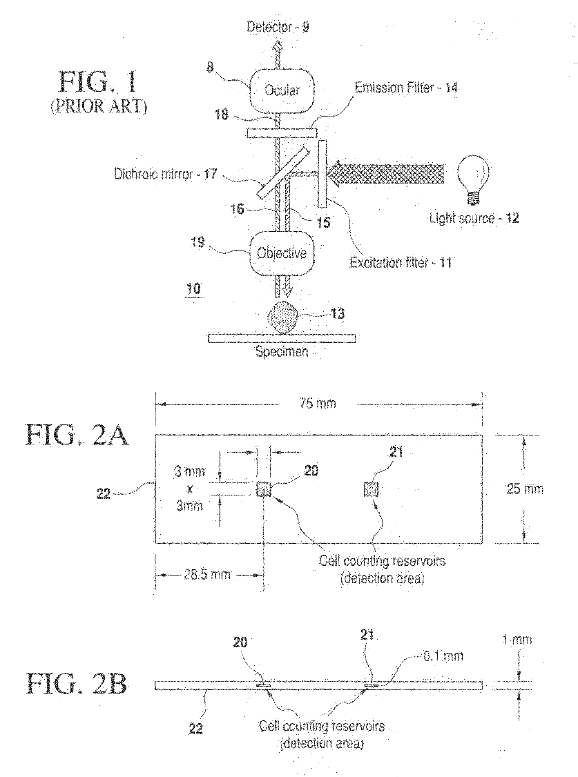 Compact portable apparatus for optical assay