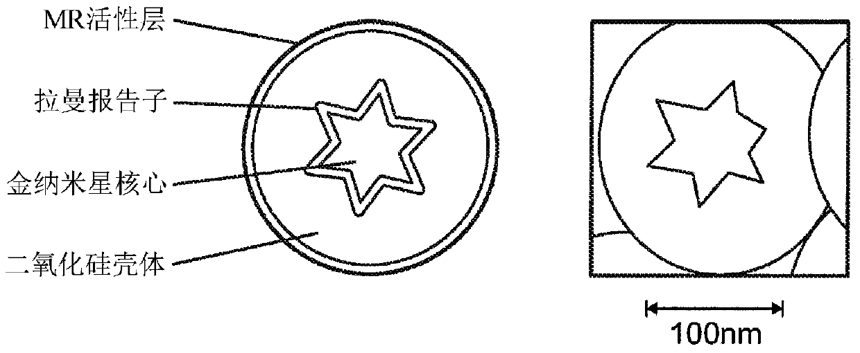 Multimodal particles, methods and uses thereof