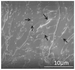 Additive, preparation method of additive and composite containing additive