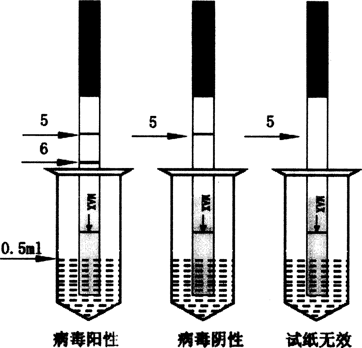 White spot syndrome virus on-spot detection test paper, its preparation and method of application