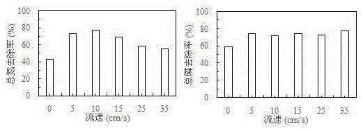 Rapid algae-liquid separation method for microalgae treatment wastewater