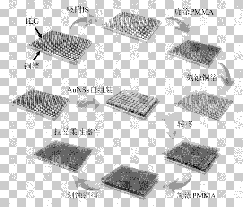 Two-dimensional flexible device for Raman quantitation and imaging and preparation method thereof