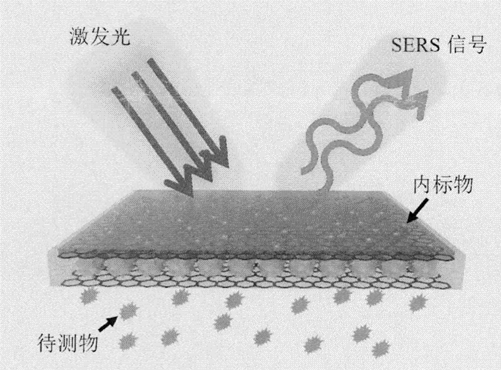 Two-dimensional flexible device for Raman quantitation and imaging and preparation method thereof