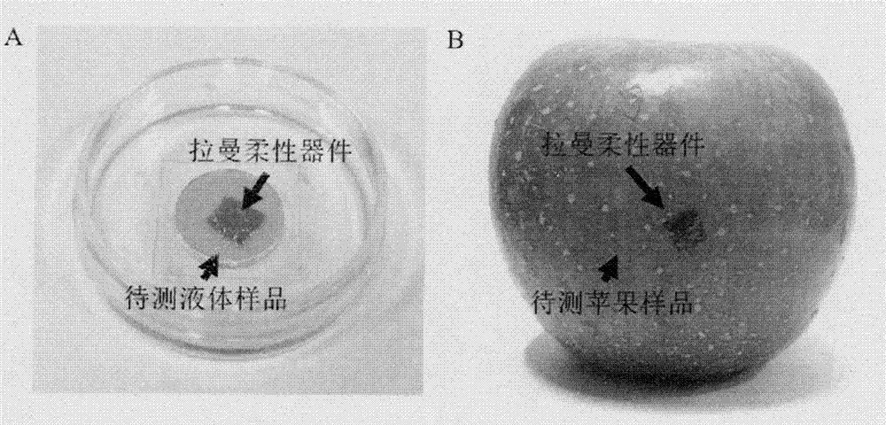 Two-dimensional flexible device for Raman quantitation and imaging and preparation method thereof