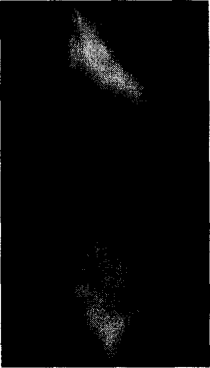 Sparse grid-oriented three-dimensional foot type fast acquiring method based on standard foot deformation