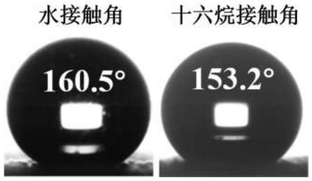 Super-amphiphobic material with hydrophobic migration and self-repairing performance and preparation method of super-amphiphobic material