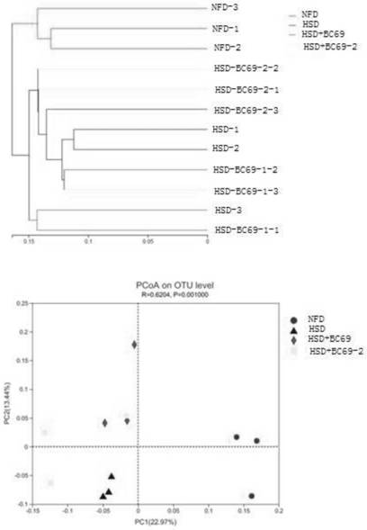 Application of bacillus coagulans in preparation of food or medicine for improving body function decline caused by hyperglycemia and hyperlipidemia