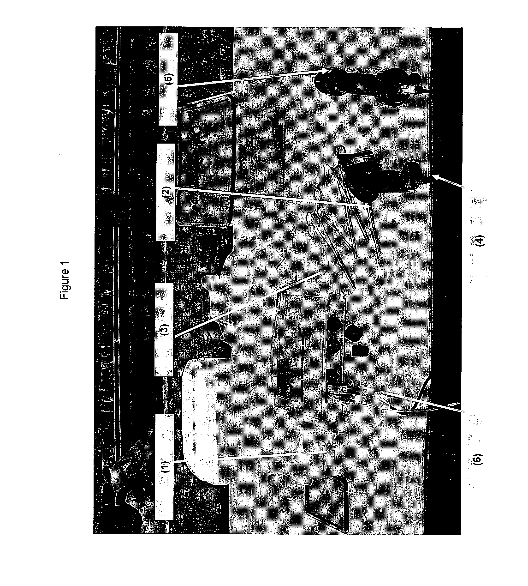 Methods of selecting host resistant animals