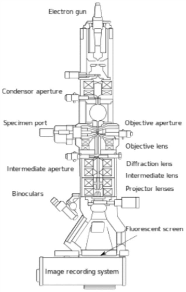 Continuous rotation precession electron diffraction tomography method