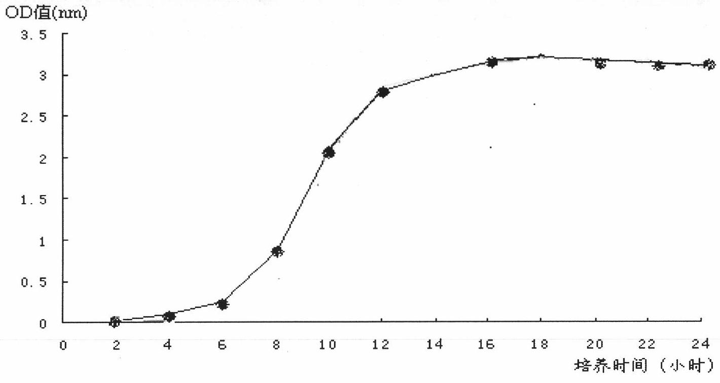 Bacillus thuringiensis YWC2-8 and application thereof