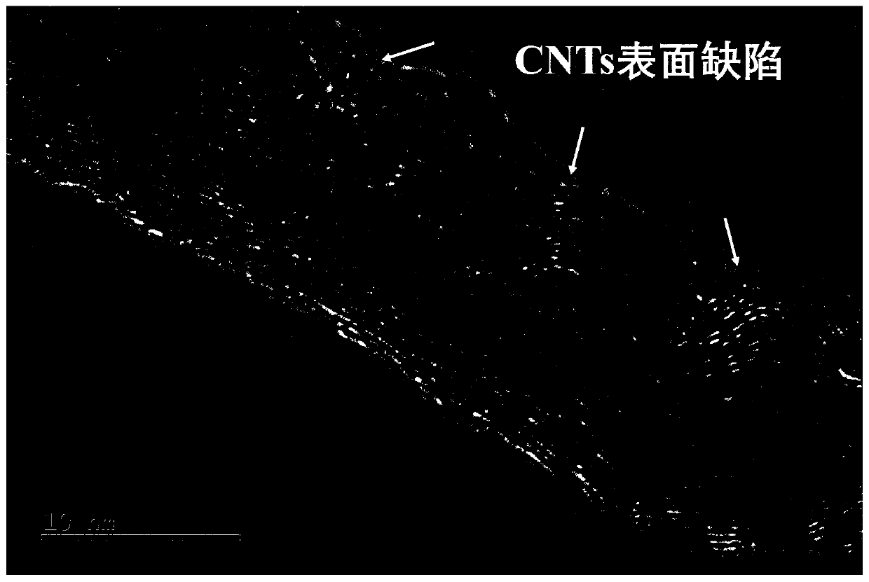 Preparation method for loading copper oxide nanoparticles on surface of in-situ synthesized carbon nanotube