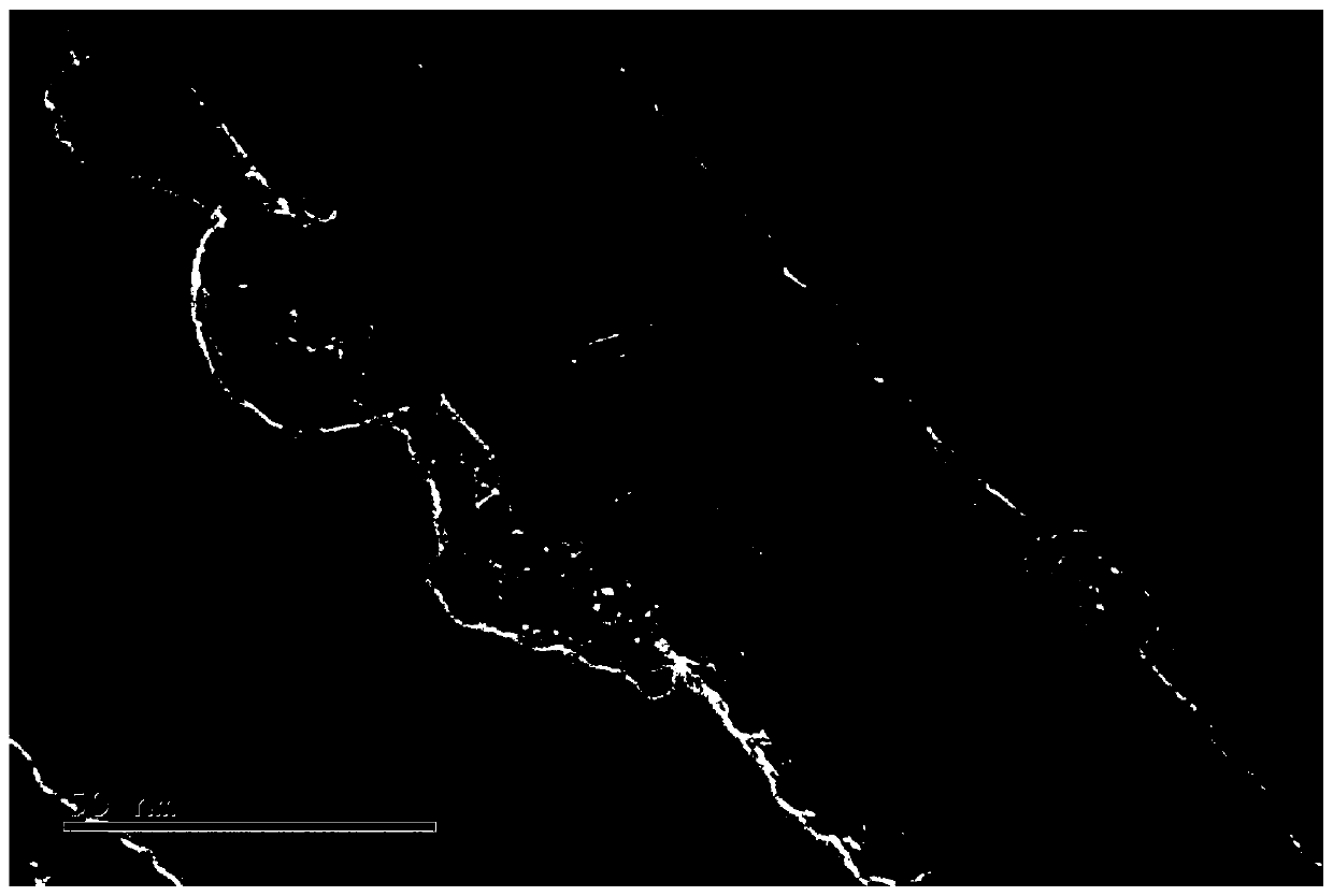 Preparation method for loading copper oxide nanoparticles on surface of in-situ synthesized carbon nanotube