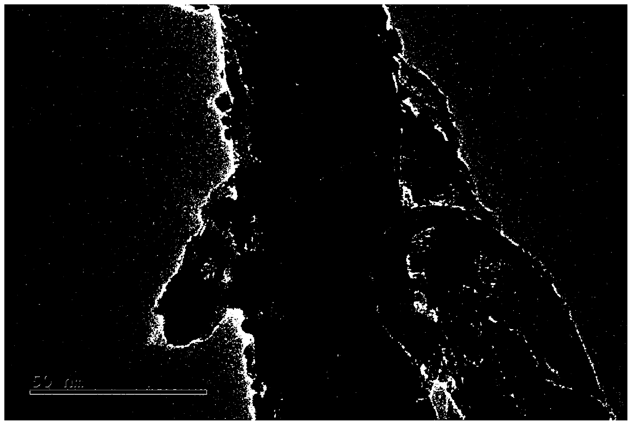 Preparation method for loading copper oxide nanoparticles on surface of in-situ synthesized carbon nanotube