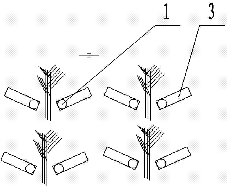 Slope cropland ramie cultivation method