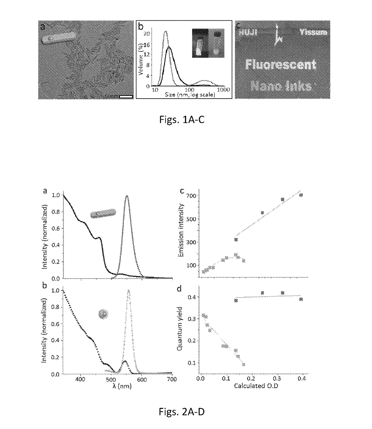 Patterns of fluorescent seeded nanorods