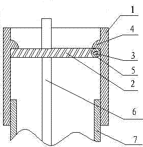 endoscope biopsy cap