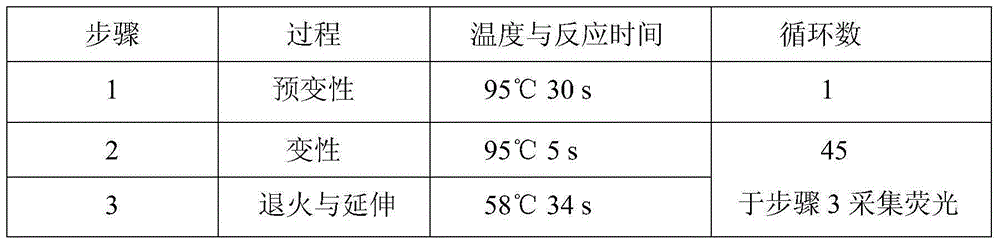 Hsa-mir-146 detection kit and detection method based on allglo probe fluorescent quantitative PCR