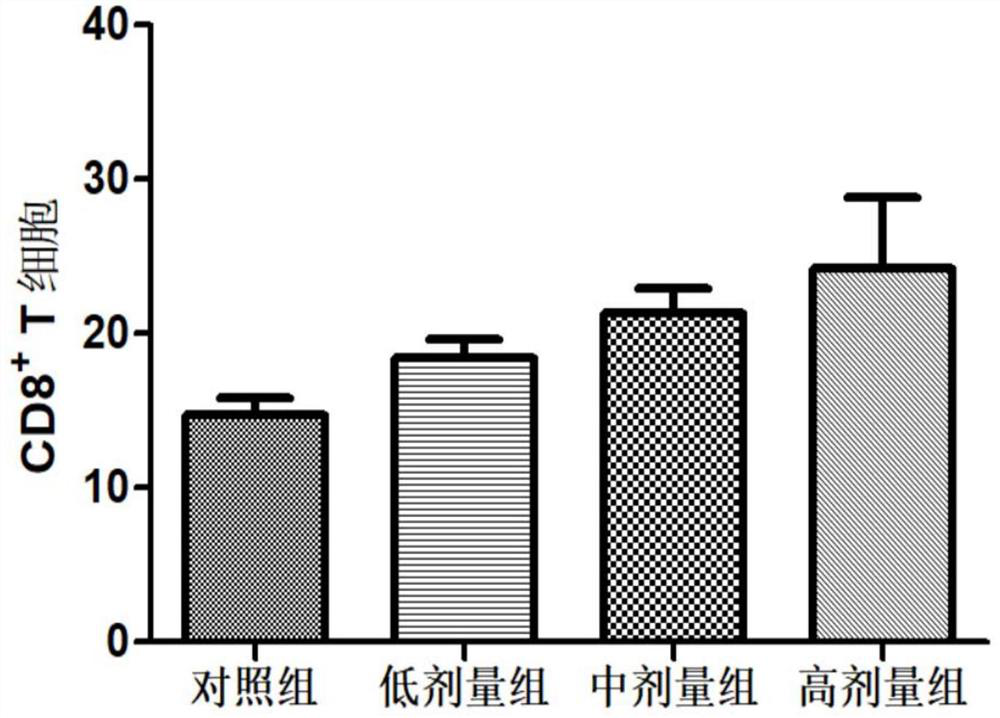 Traditional Chinese medicine composition for treating colon cancer and preparation method and application of traditional Chinese medicine composition