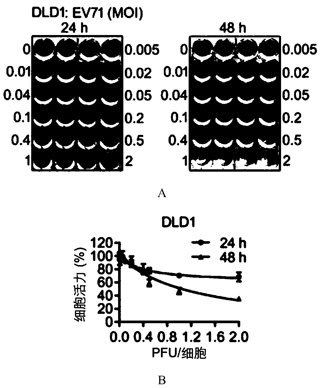 Application of novel oncolytic virus in preparation of medicine for treating colorectal cancer