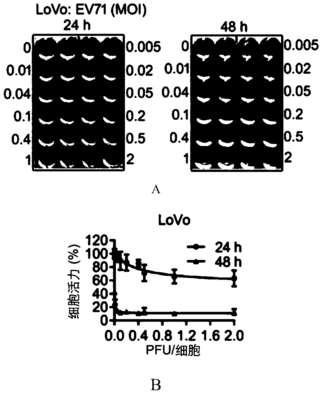 Application of novel oncolytic virus in preparation of medicine for treating colorectal cancer